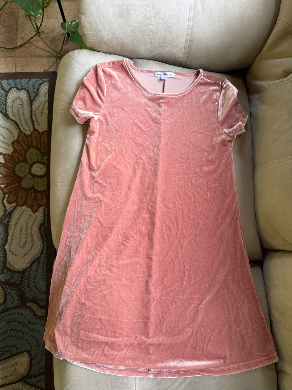 Say What? Pink Velvet Mini Dress Size Small